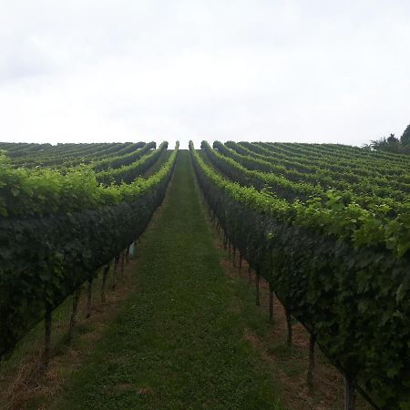 Maxl Villa Maltschach Luaran gambar
