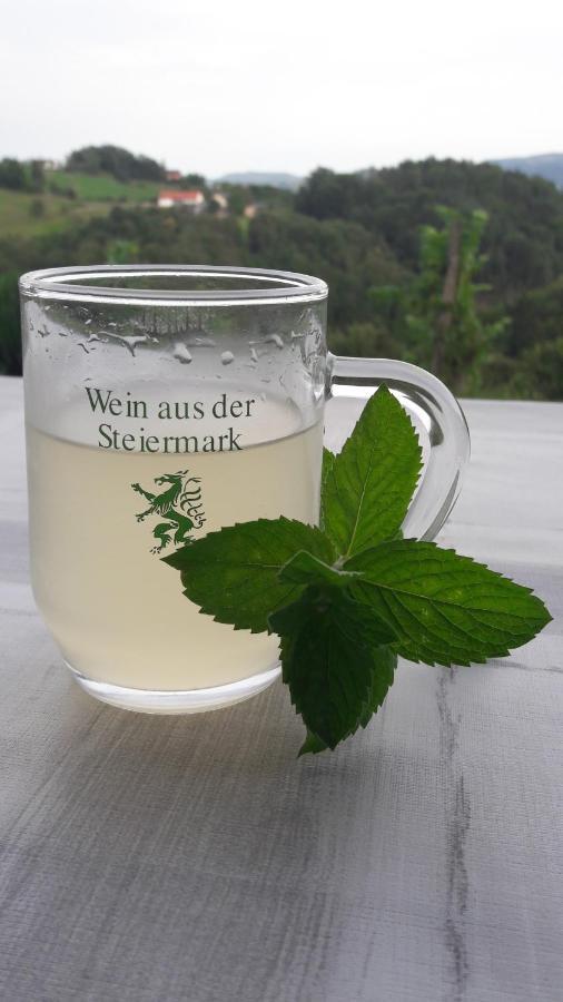 Maxl Villa Maltschach Luaran gambar